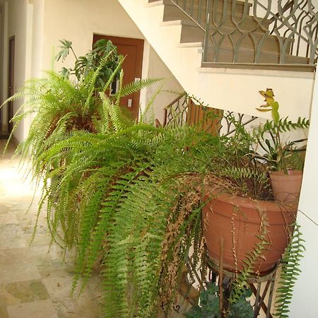 לינה וארוחת בוקר אגריג'נטו Antonio'S House מראה חיצוני תמונה