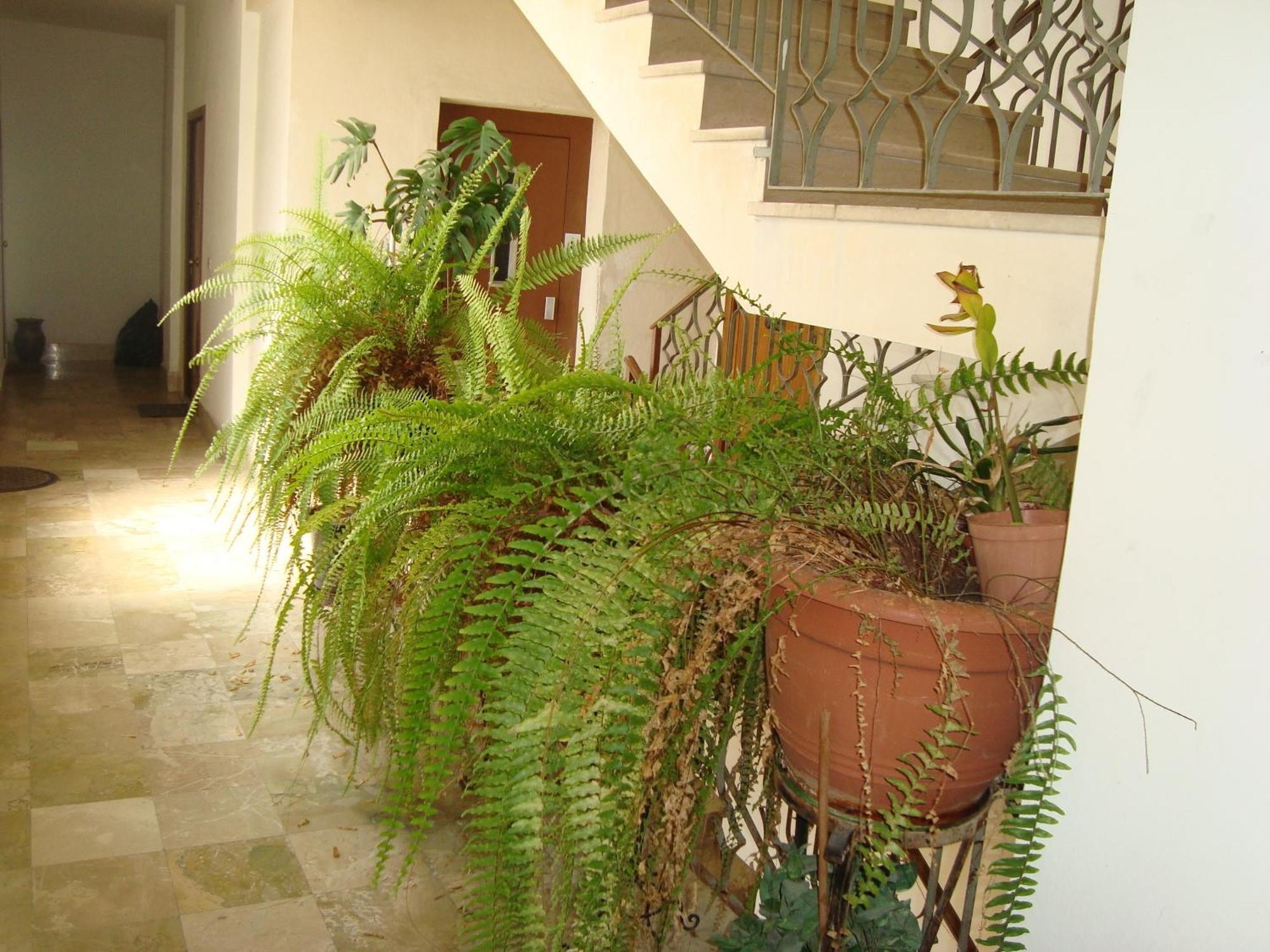 לינה וארוחת בוקר אגריג'נטו Antonio'S House מראה חיצוני תמונה